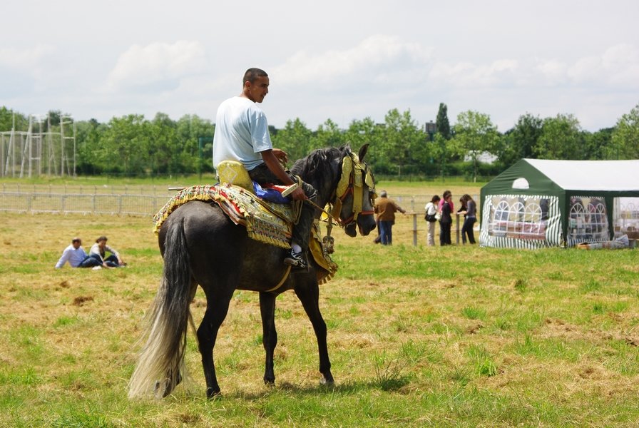 Le Moussem des Cultures 2008 022.jpg